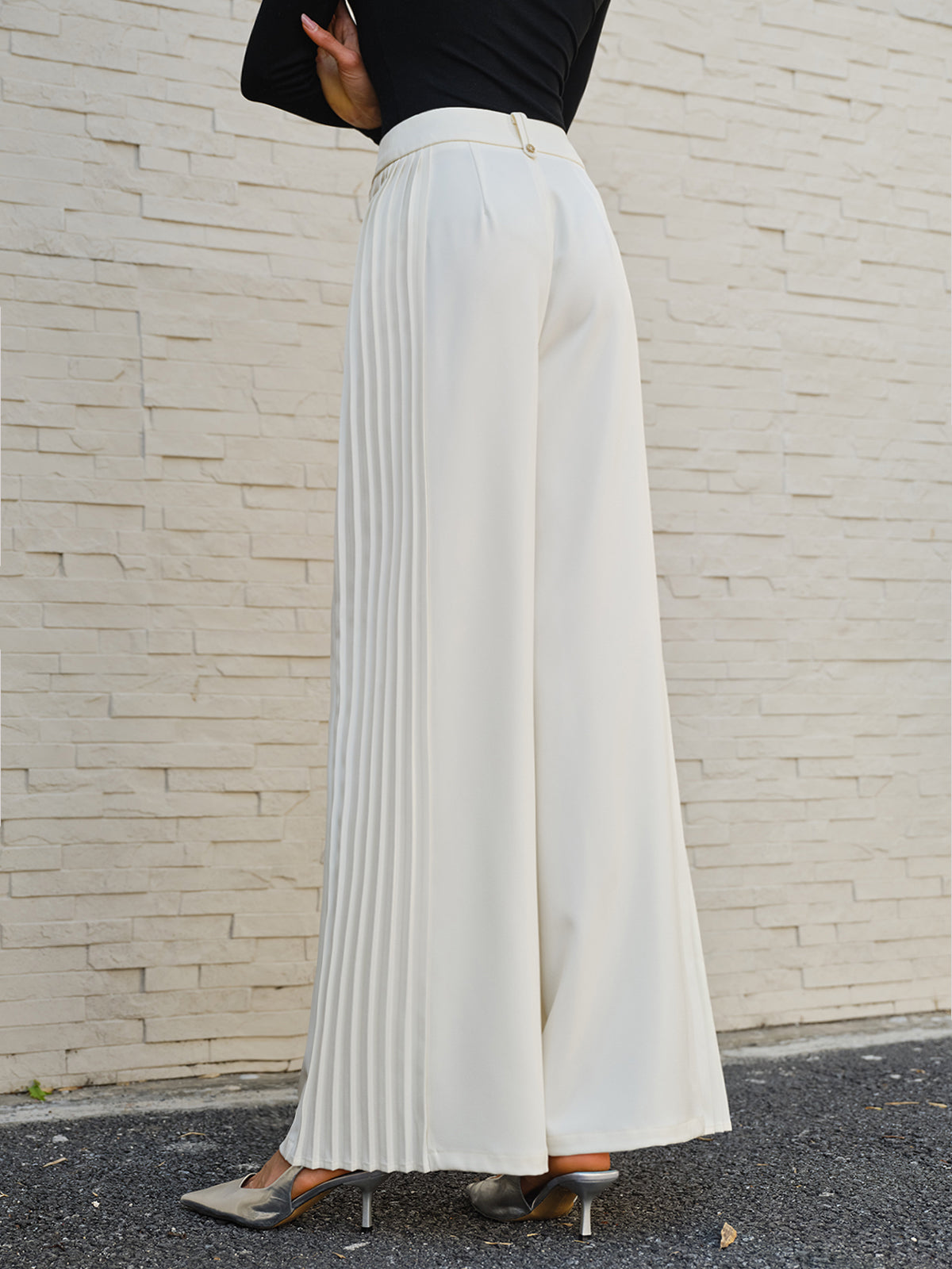 Side Pleated Wide-Leg Pants