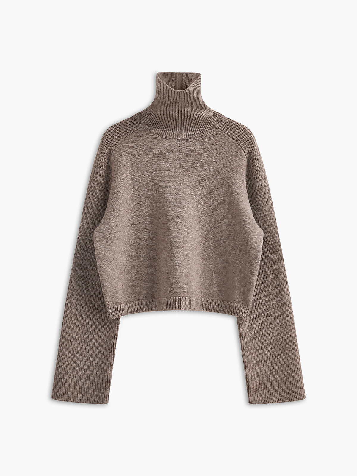 Ribbed Turtleneck Short Sweater